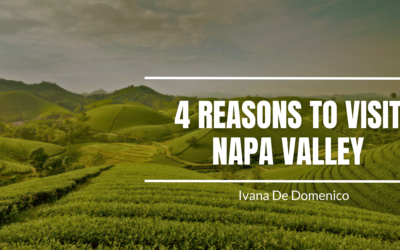4 Reasons to Visit Napa Valley