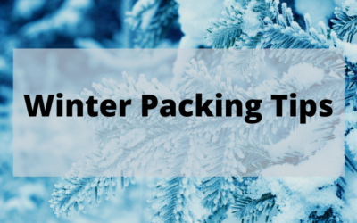 Winter Travel Tips